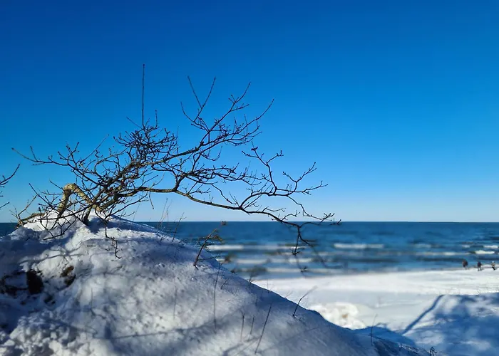Quiet קולובז'ג